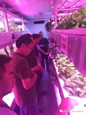 智慧农业新篇章 宿迁市领导参观旭田植物工厂，共话苗木种植现代化未来