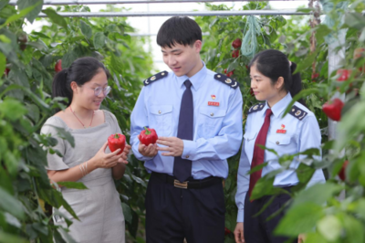 税务助农办实事 特色产业新年启新程