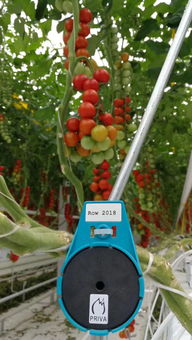 中央政治局定调明年经济，2019一号文件即将发布聚焦谷物种植