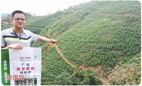 广东桉树与果蔬种植的现代化管理工厂模式探析