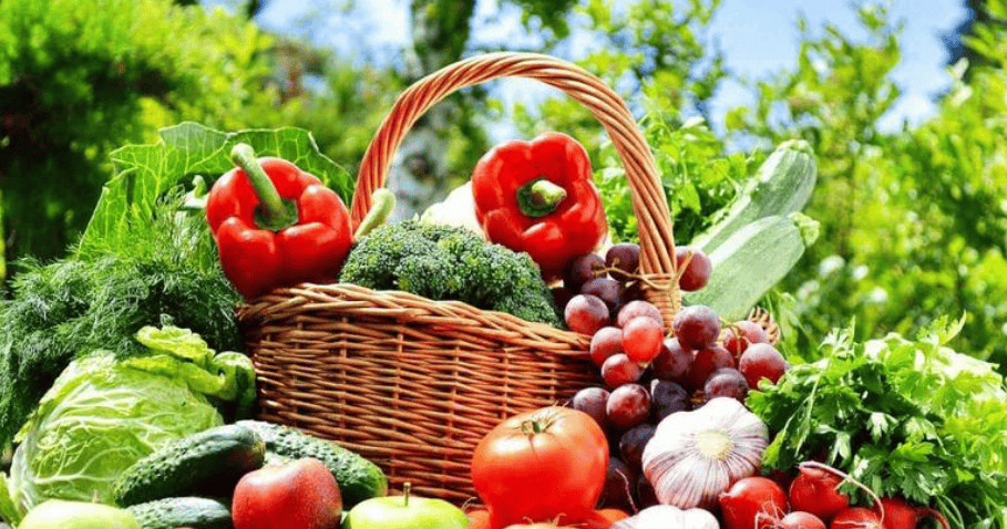 互联网赋能果蔬行业 健康品质如何重塑苗木种植新未来